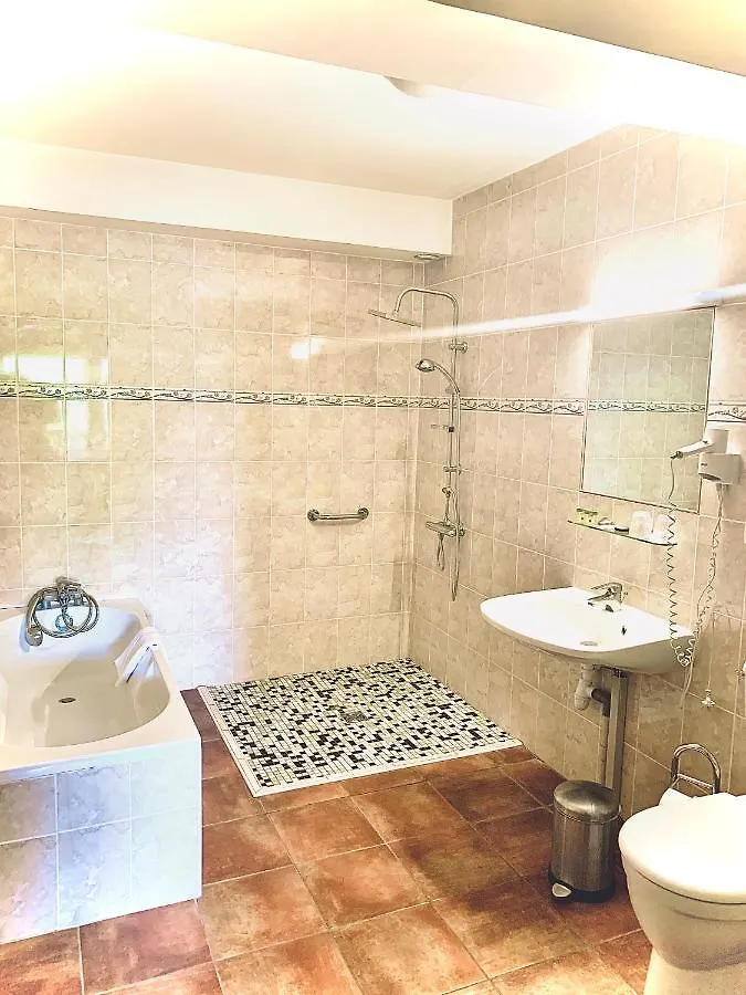 Le Petit Roche Hotel Serrieres  France